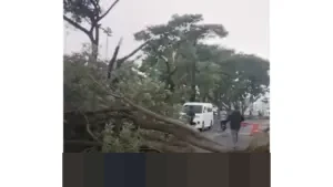 Angin Puting Beliung Terjang Bandara Internasional Juanda Sidoarjo, BMKG Ungkap Pemicunya