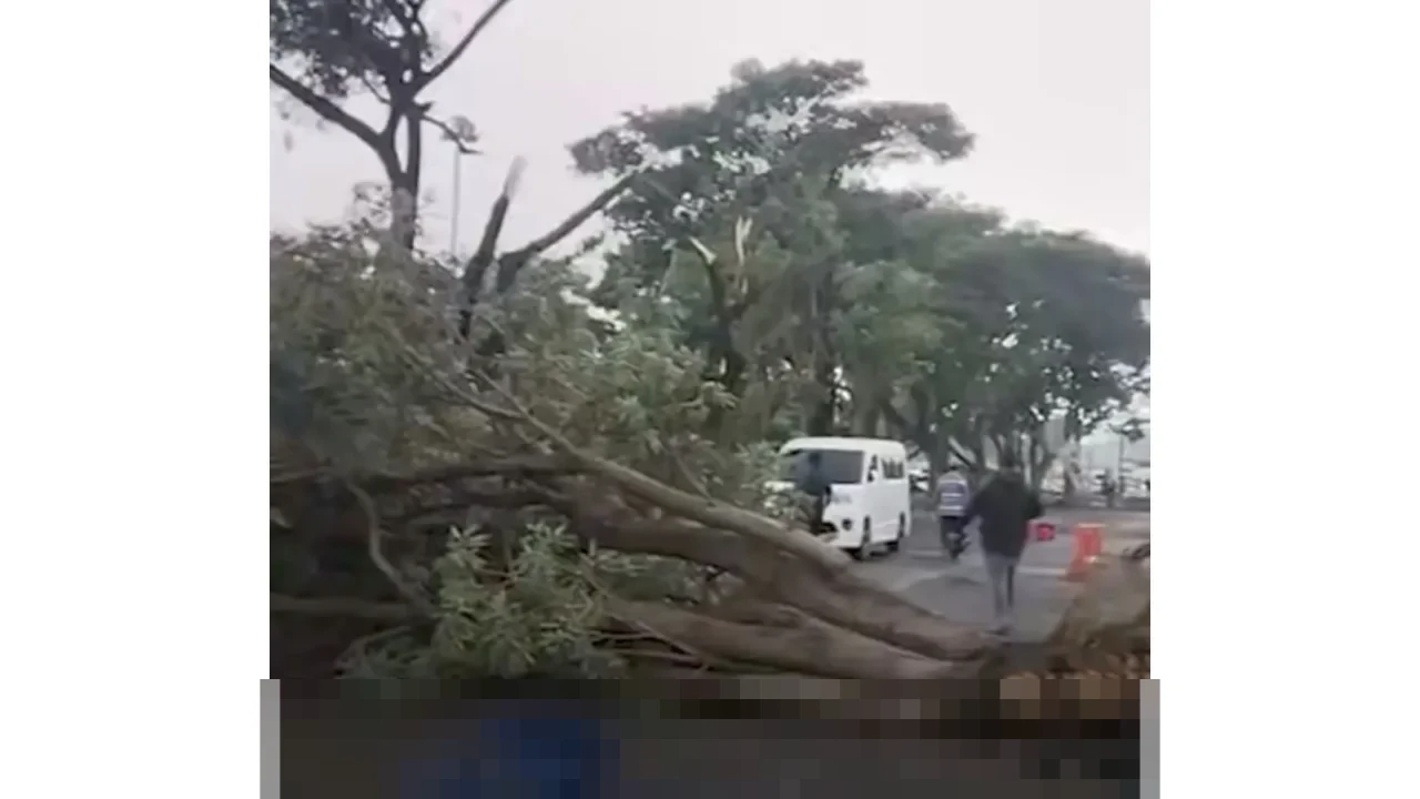 Angin Puting Beliung Terjang Bandara Internasional Juanda Sidoarjo, BMKG Ungkap Pemicunya