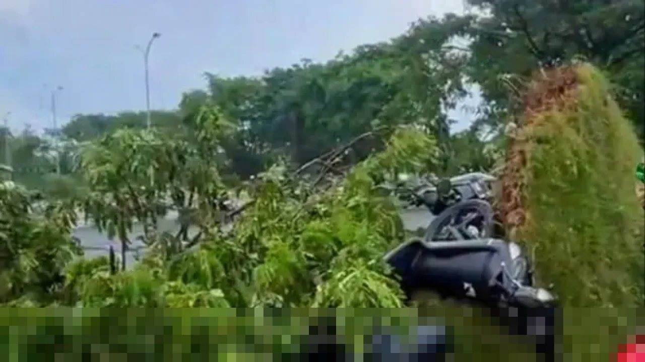 Angin Puting Beliung Terjang Bandara Juanda Sidoarjo, Tiga Penerbangan Dialihkan ke Semarang