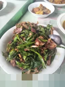 AS Tangkap Maduro: Misi Penyelamatan Petrodollar dan Penguasaan 18% Cadangan Minyak Global