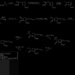 AS Tarik Diri dari 66 Organisasi Global, Brasil Kirim Pasukan ke Perbatasan Venezuela