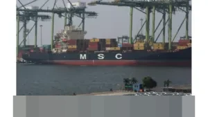 Asei: Diversifikasi Pasar Ekspor Indonesia ke Negara Non-Tradisional Jadi Peluang Genjot Premi Marine Cargo