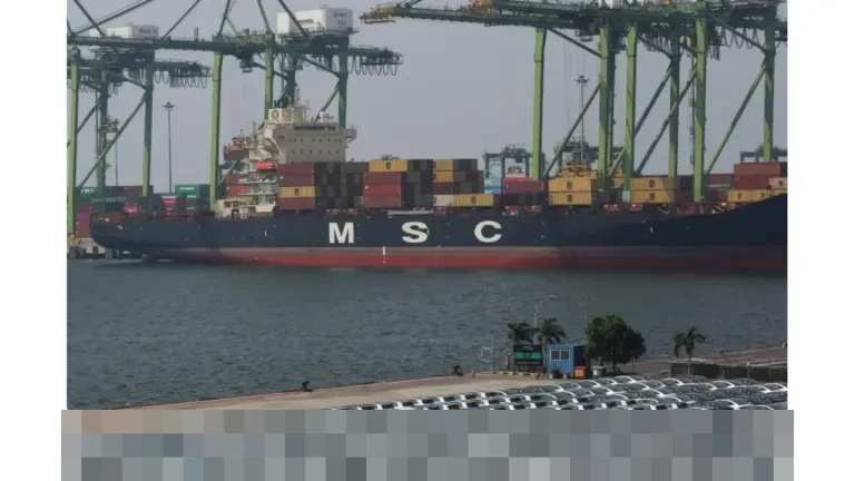 Asei: Diversifikasi Pasar Ekspor Indonesia ke Negara Non-Tradisional Jadi Peluang Genjot Premi Marine Cargo