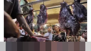 Asosiasi Importir Daging Desak Kementan Tinjau Ulang Kuota 2026, Khawatir PHK Industri Horeka