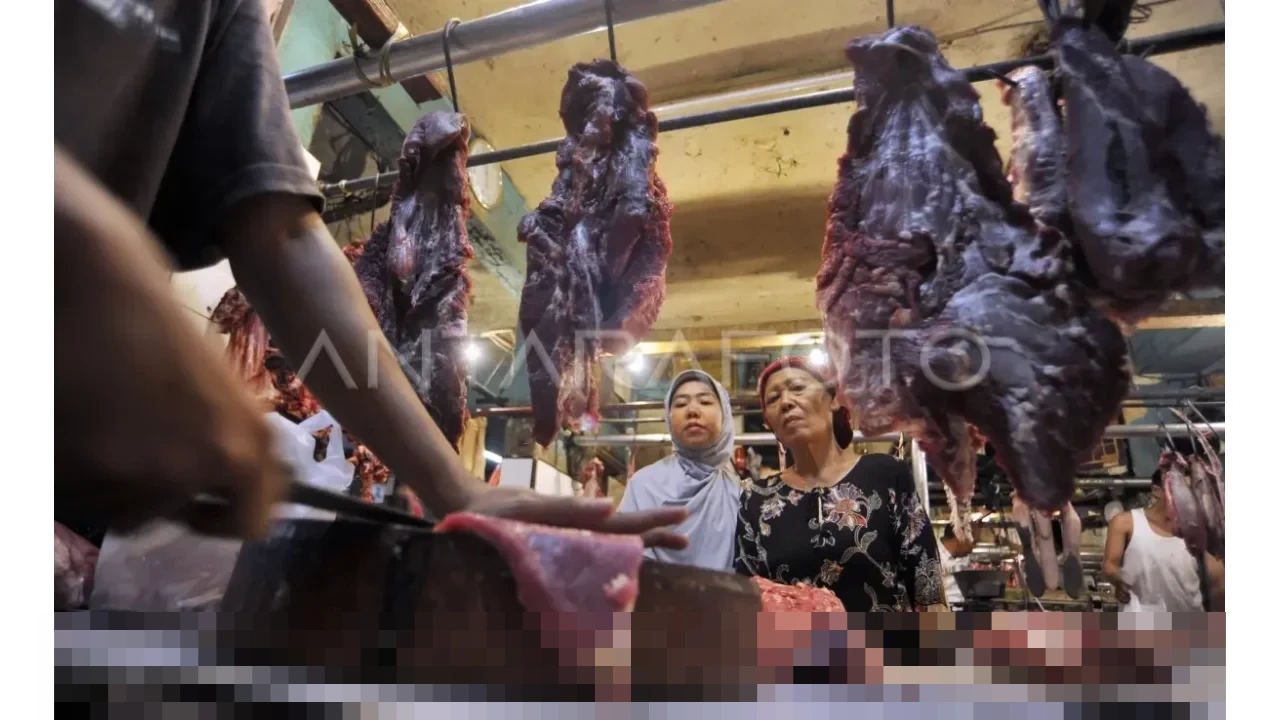 Asosiasi Importir Daging Desak Kementan Tinjau Ulang Kuota 2026, Khawatir PHK Industri Horeka