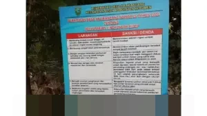 Aturan Free Float MSCI Berubah, Sejumlah Saham Indonesia Berpeluang Naik Kelas Global