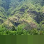 Bali United Taklukkan PSM 2-0 di Parepare, Dua Kartu Merah Warnai Laga Super League