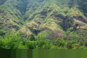 Bali United Taklukkan PSM 2-0 di Parepare, Dua Kartu Merah Warnai Laga Super League