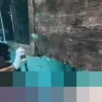 Bangkai Kapal Putri Sakinah Ditemukan di Labuan Bajo, Jenazah Anak Pelatih Valencia CF Teridentifikasi