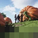 Bangkit dari Tahun yang Kurang Menggembirakan, Xbox Siapkan Fable, Gears of War, dan Konsol Generasi Baru untuk 2026