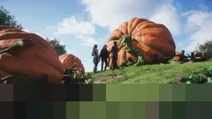 Bangkit dari Tahun yang Kurang Menggembirakan, Xbox Siapkan Fable, Gears of War, dan Konsol Generasi Baru untuk 2026