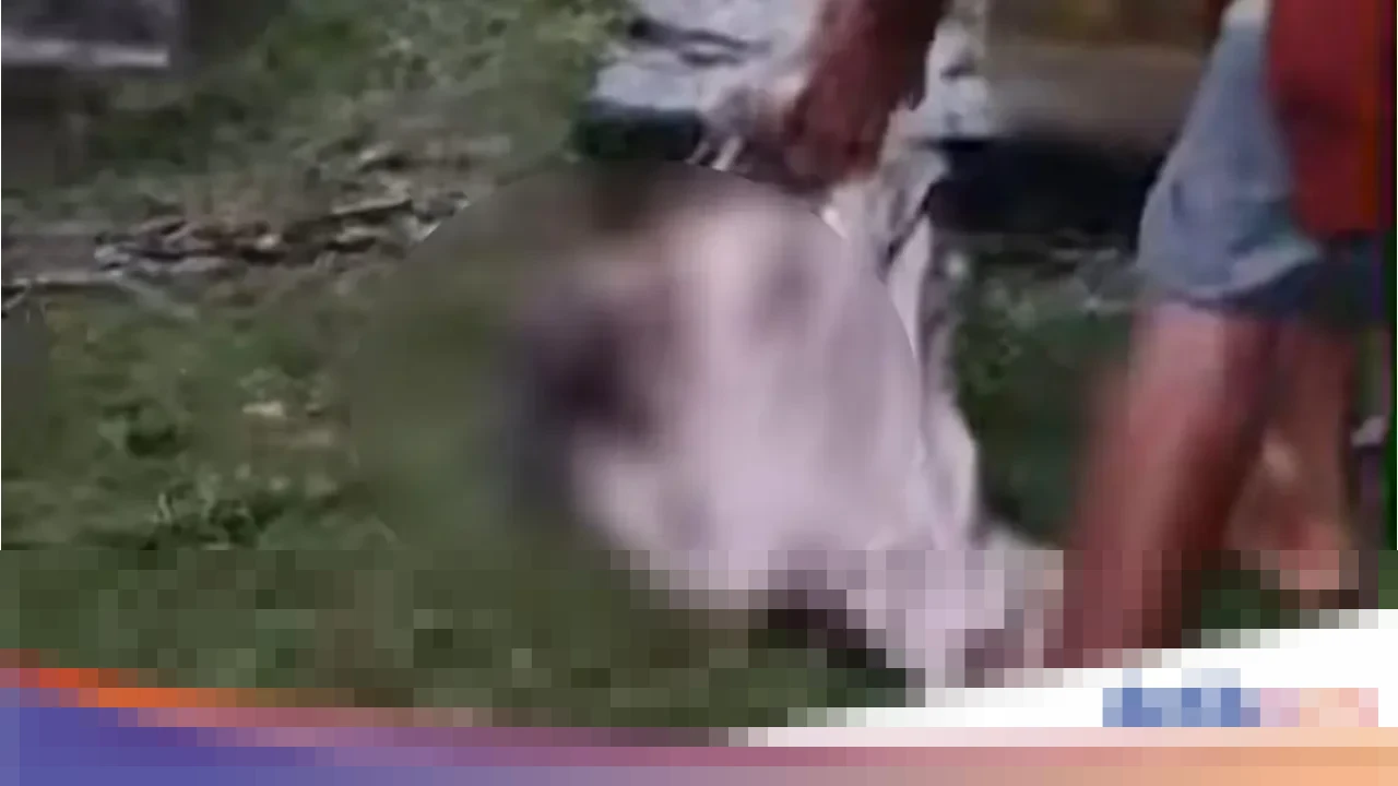 Banjir Bandang Menerjang Dompu NTB, Makam Jebol dan Jasad Anak Terseret Arus Deras