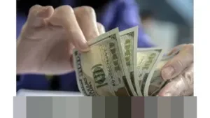 Bank Indonesia Umumkan Cadangan Devisa Capai US$156,5 Miliar, Kualitas Sumber Utang Dipertanyakan