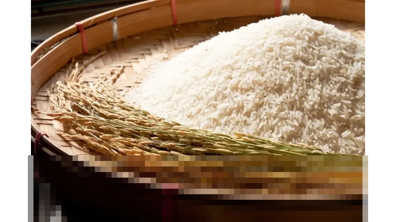 Bapanas Tegaskan Indonesia Swasembada Beras 2025, Surplus 3 Juta Ton Hapus Kebutuhan Impor Bapanas Tegaskan Indonesia Swasembada Beras 2025, Surplus 3 Juta Ton Hapus Kebutuhan Impor