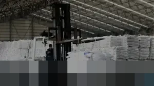 Barang Impor-Ekspor Menumpuk Lebih 30 Hari di Gudang, Negara Berhak Lelang atau Musnahkan