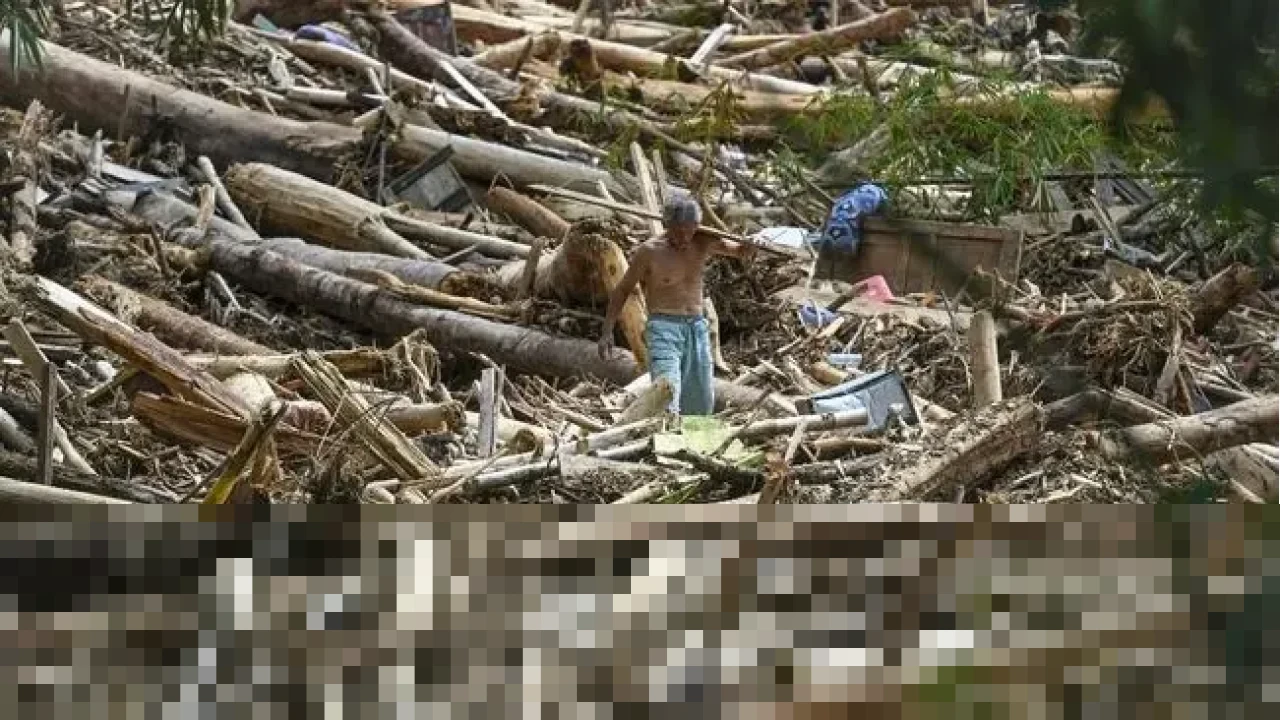 Bareskrim Pastikan Segera Tetapkan Tersangka Kasus Kayu Gelondongan Banjir Sumut Bareskrim Pastikan Segera Tetapkan Tersangka Kasus Kayu Gelondongan Banjir Sumut