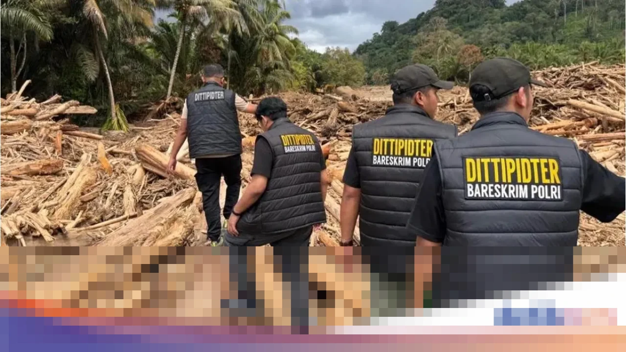 Bareskrim Polri Pastikan Gelar Perkara dengan Kejagung, Tersangka Kasus Kayu Gelondongan Banjir Sumut Segera Ditetapkan