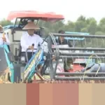 Bekasi Panen Raya Jagung 150 Ton di Tengah Kawasan Industri, Plt Bupati: Bukti Produktivitas Pangan