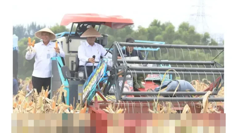 Bekasi Panen Raya Jagung 150 Ton di Tengah Kawasan Industri, Plt Bupati: Bukti Produktivitas Pangan Bekasi Panen Raya Jagung 150 Ton di Tengah Kawasan Industri, Plt Bupati: Bukti Produktivitas Pangan
