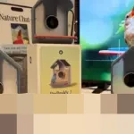 Birdbuddy 2 dan Mini Hadir di CES 2026, Pengumpan Burung Canggih Kini Kenali Spesies Lewat Suara