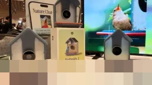 Birdbuddy 2 dan Mini Hadir di CES 2026, Pengumpan Burung Canggih Kini Kenali Spesies Lewat Suara