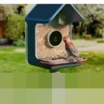 Birdbuddy Umumkan Pengumpan Burung Pintar Generasi Baru di CES 2026, Bidik Kemudahan Pengamatan