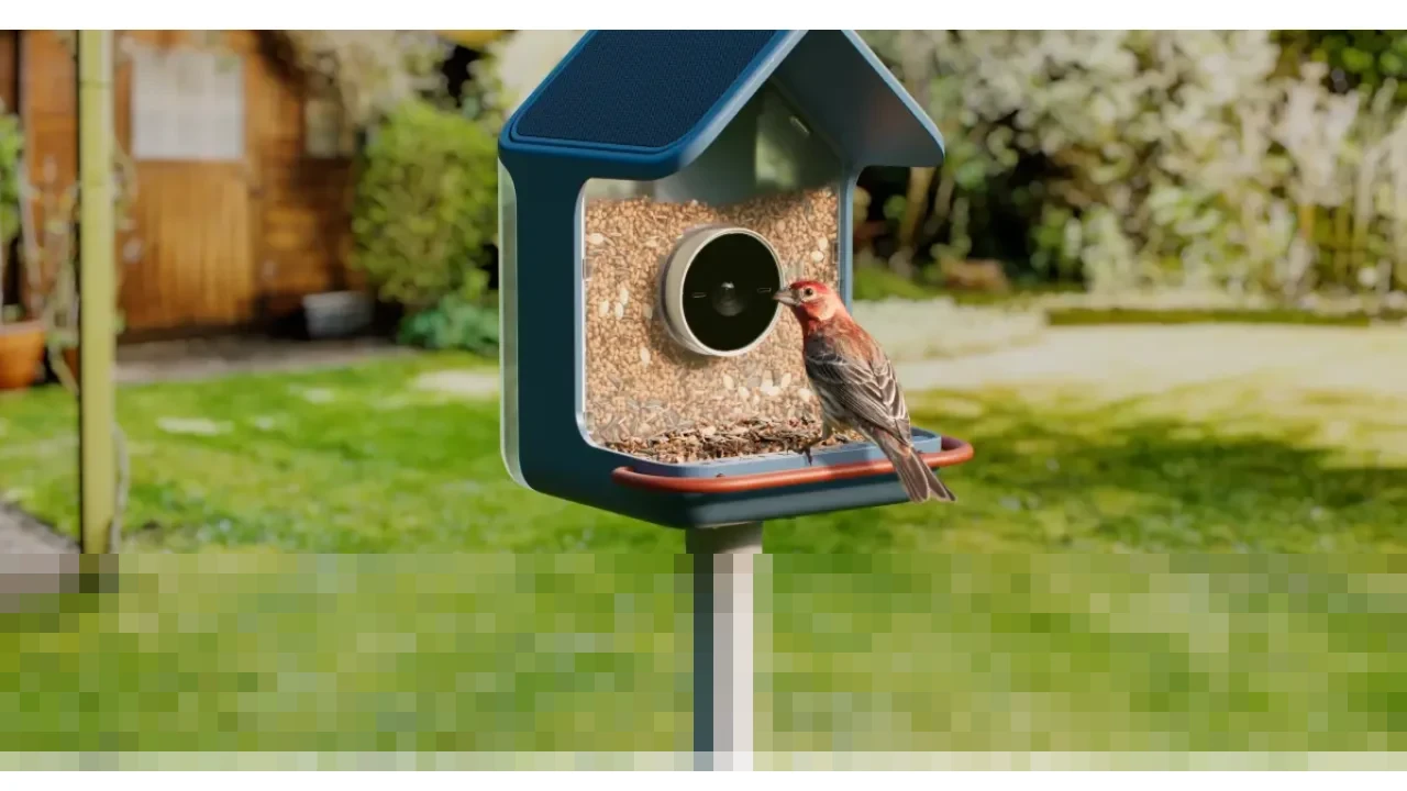 Birdbuddy Umumkan Pengumpan Burung Pintar Generasi Baru di CES 2026, Bidik Kemudahan Pengamatan