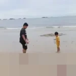 BMKG Peringatkan Pasang Laut 2,8-3,1 Meter di Pesisir Kaltim Berpotensi Rusak Tambak