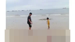 BMKG Peringatkan Pasang Laut 2,8-3,1 Meter di Pesisir Kaltim Berpotensi Rusak Tambak