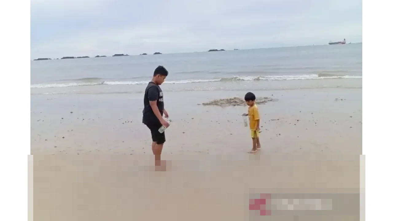 BMKG Peringatkan Pasang Laut 2,8-3,1 Meter di Pesisir Kaltim Berpotensi Rusak Tambak