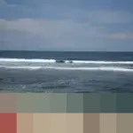 BMKG Peringatkan Potensi Hujan Berpetir dan Gelombang Laut Tinggi hingga 6 Meter Hari Ini