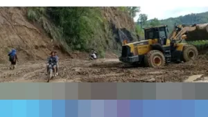 BPS Peringatkan Risiko Gagal Panen Padi Meningkat Tajam di Sumatera Akibat Banjir