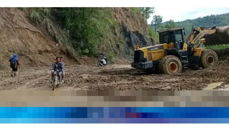 BPS Peringatkan Risiko Gagal Panen Padi Meningkat Tajam di Sumatera Akibat Banjir BPS Peringatkan Risiko Gagal Panen Padi Meningkat Tajam di Sumatera Akibat Banjir