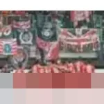 BRI Super League Pekan ke-16: Persija Hadapi Persijap, Persik Tantang Persib di Awal Tahun