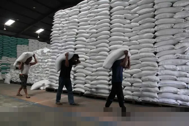 Bulog Banyumas Pastikan Stok Beras Aman, Realisasi Pengadaan 66 Ribu Ton Dukung Swasembada Nasional