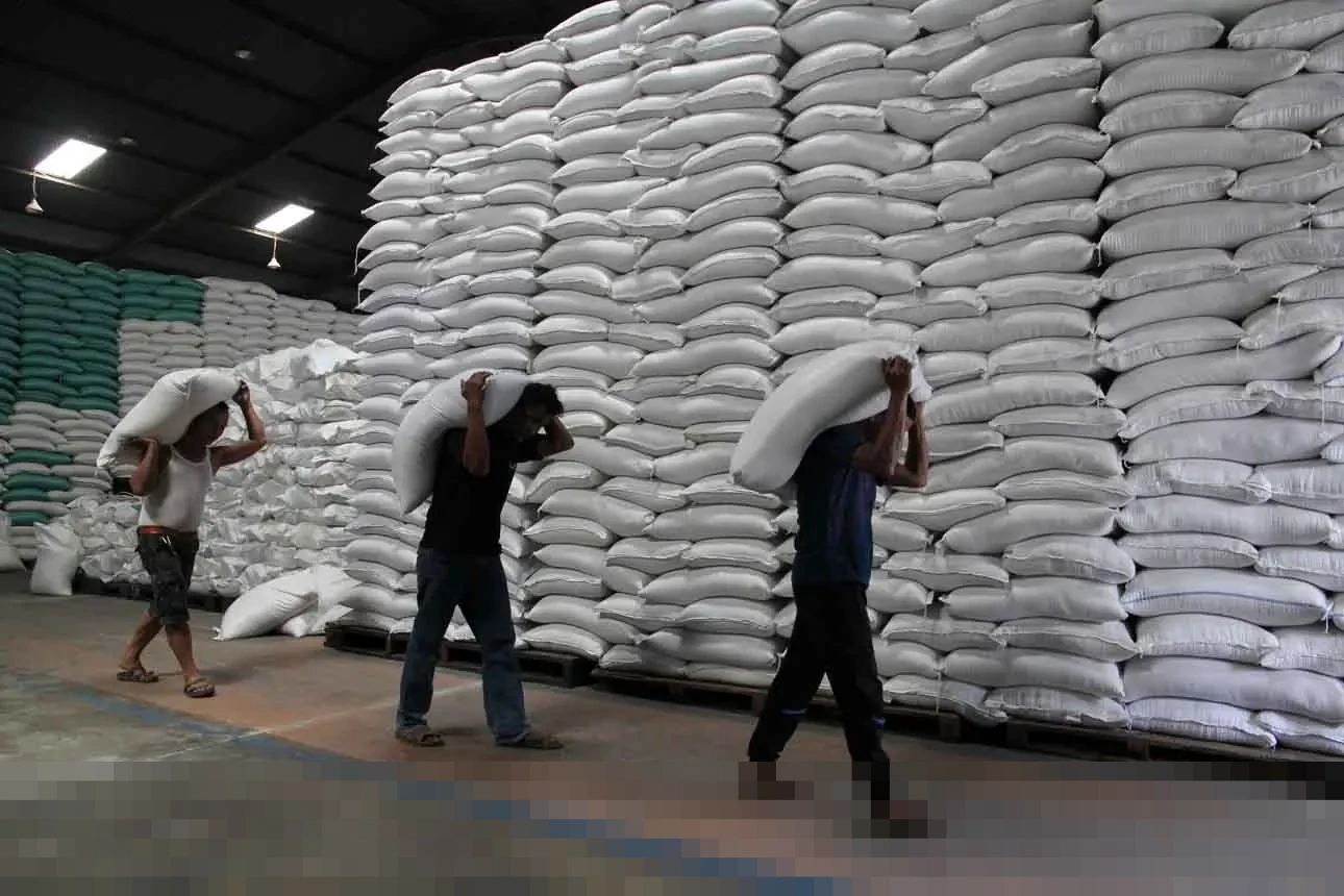 Bulog Banyumas Pastikan Stok Beras Aman, Realisasi Pengadaan 66 Ribu Ton Dukung Swasembada Nasional