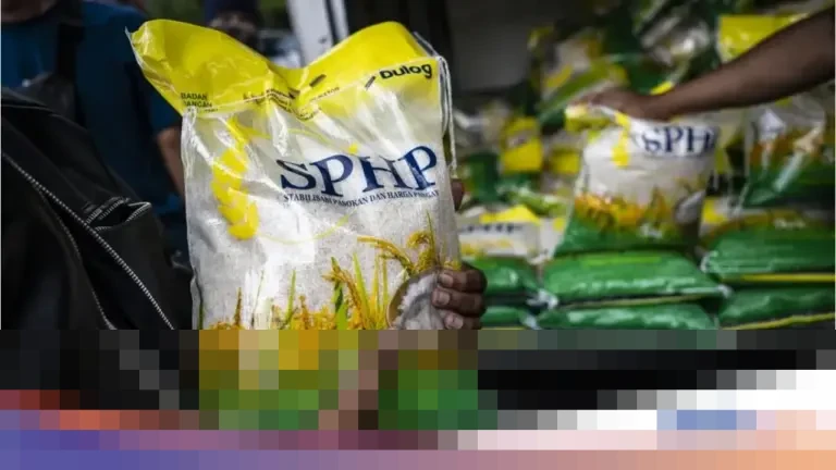 Bulog Pangkas Penyaluran Beras SPHP di Daerah Sentra Produksi untuk Stabilisasi Stok