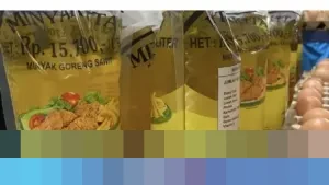 Bulog Pastikan Distribusi MinyaKita Tanpa Subkontraktor, Febby Novita: “Langsung ke Pengecer”