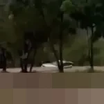 Cilegon Dilanda Banjir Parah: Mobil Terseret Arus, Akses Jalan Terputus, Ribuan Jiwa Terdampak