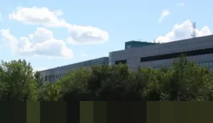 CSIS Peringatkan: Pengangguran Gen Z Terdidik Melonjak, Pendidikan Tak Selaras Industri