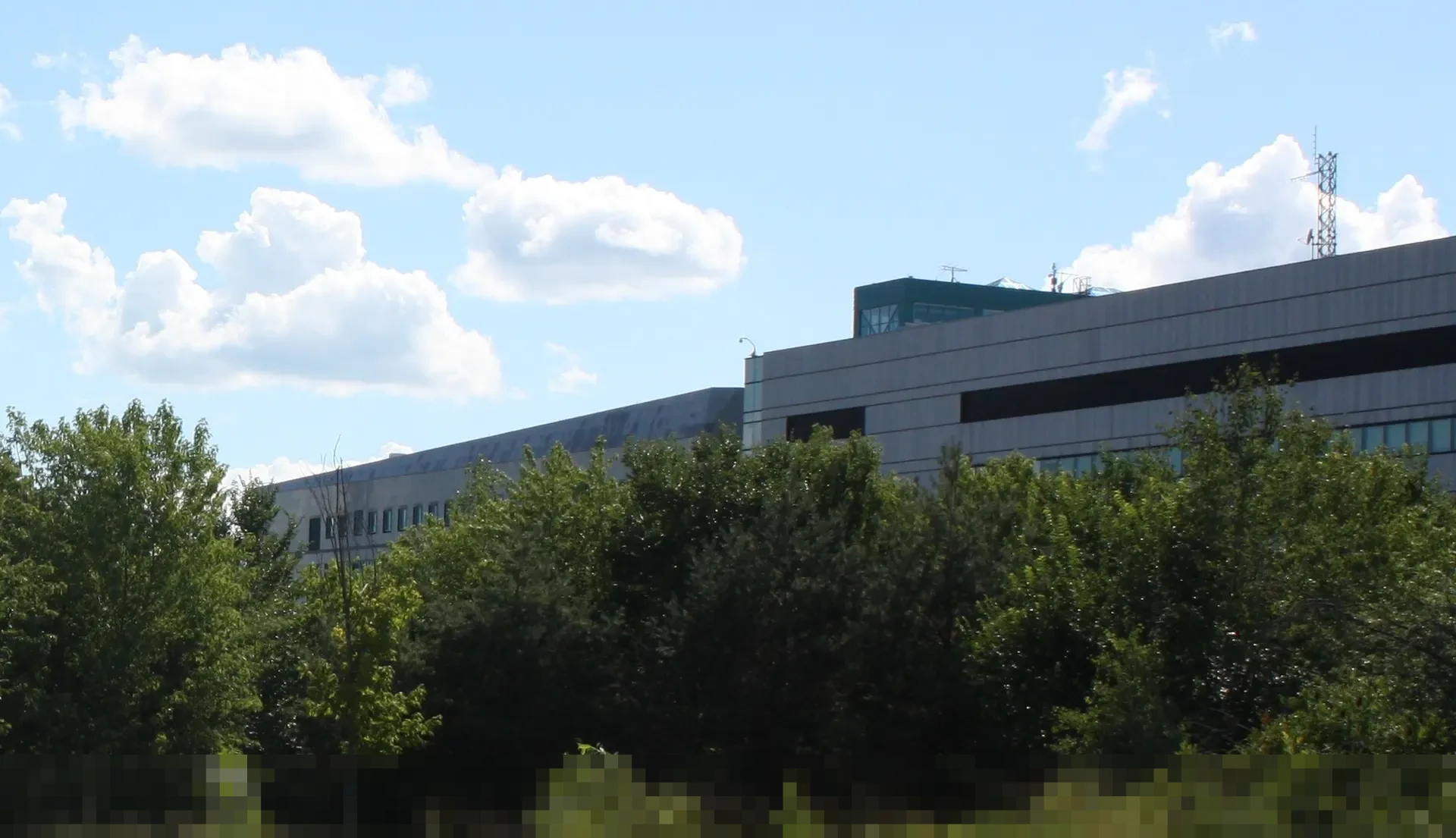 CSIS Peringatkan: Pengangguran Gen Z Terdidik Melonjak, Pendidikan Tak Selaras Industri