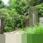 Dari Bursa Efek hingga Wahana Ekstrem: Petualangan Edukatif Siswa SMA Trinitas di Jakarta