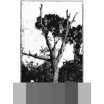 Dari Lapangan Hijau ke Pinggir Lapangan: Jejak Karier Maulina Novryliani di Sepak Bola Wanita