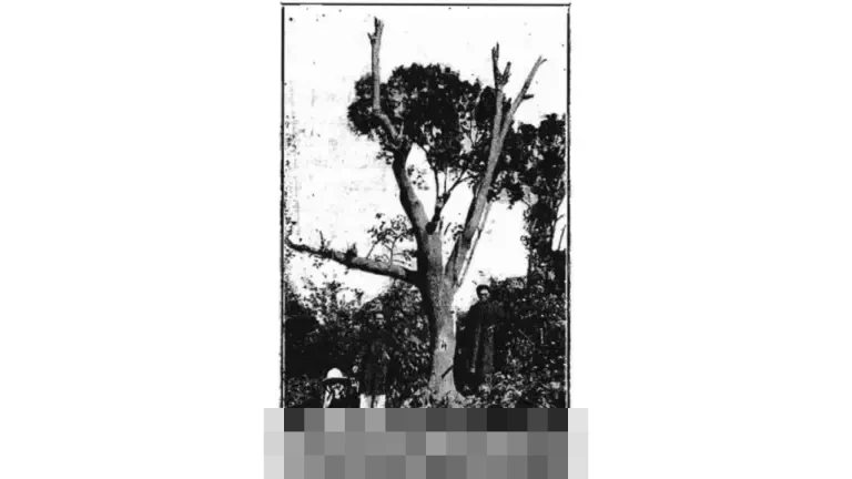 Dari Lapangan Hijau ke Pinggir Lapangan: Jejak Karier Maulina Novryliani di Sepak Bola Wanita