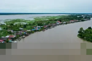 Desa Wisata Pela di Kutai Kartanegara Fokus pada Konservasi Pesut Mahakam yang Terancam Punah