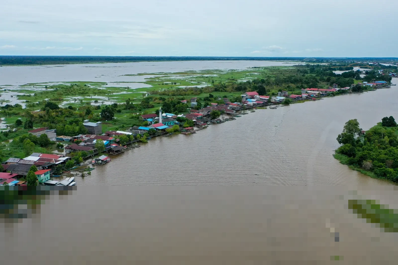 Desa Wisata Pela di Kutai Kartanegara Fokus pada Konservasi Pesut Mahakam yang Terancam Punah