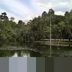 Di Balik Gemerlap Teknologi Modern: Kisah Pilu Ribuan Anak Penambang Kobalt di Kongo