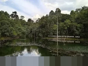 Di Balik Gemerlap Teknologi Modern: Kisah Pilu Ribuan Anak Penambang Kobalt di Kongo