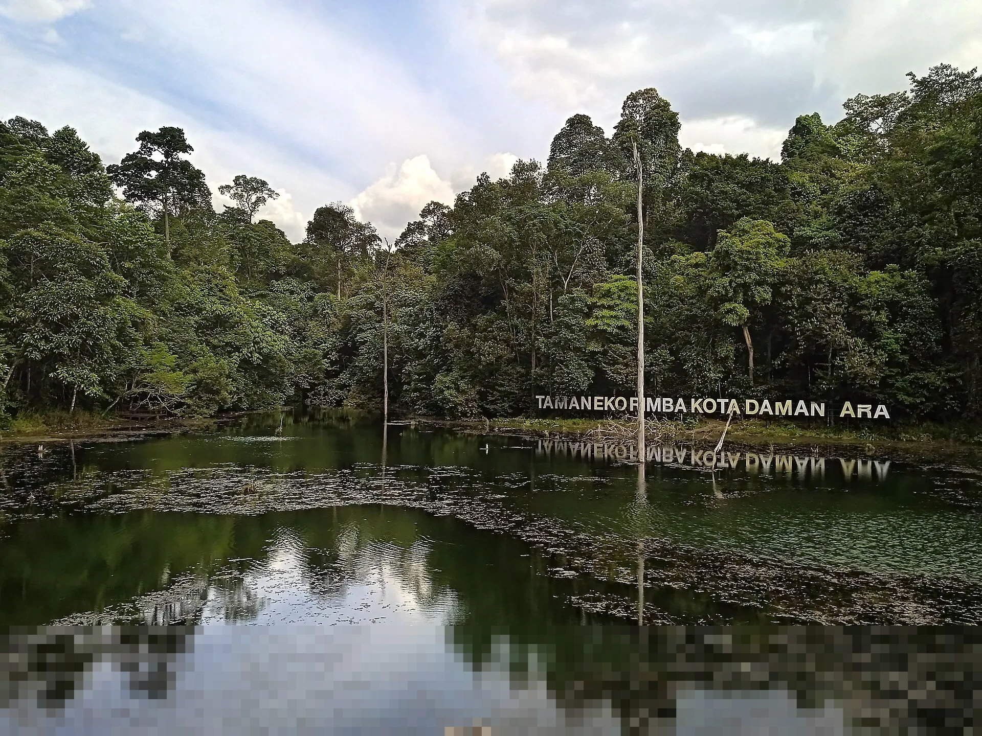 Di Balik Gemerlap Teknologi Modern: Kisah Pilu Ribuan Anak Penambang Kobalt di Kongo