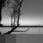 Di Balik Keheningan Malam: Kisah Batin Seseorang yang Ingin Tenggelam Namun Enggan Mati